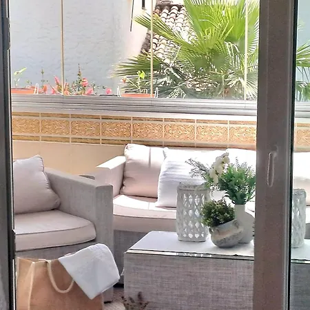 Noctua Paraiso 017 Estepona